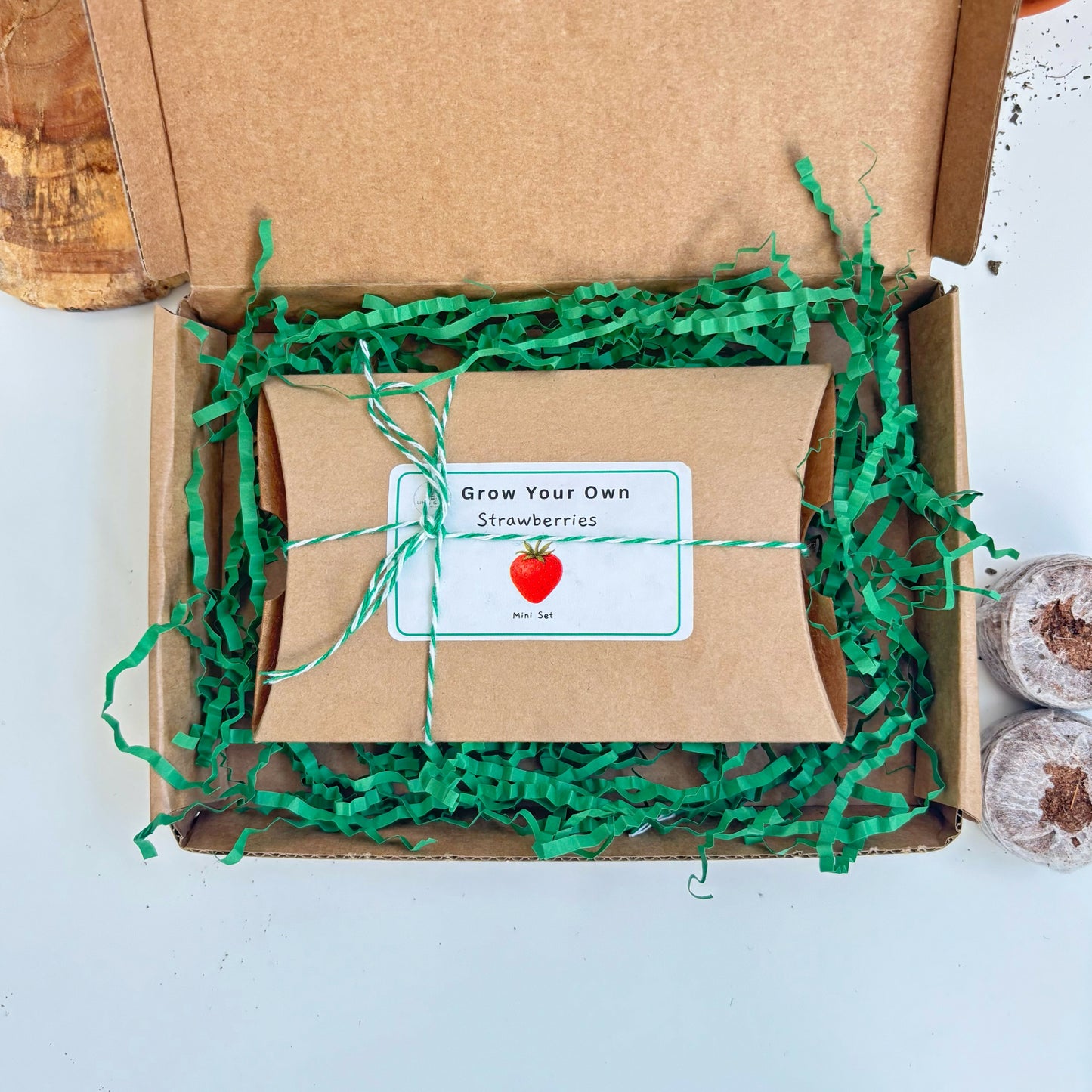 Mini Grow Your Own Strawberries Kit