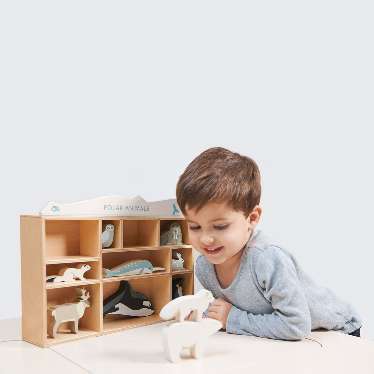 Polar Animals Shelf Set
