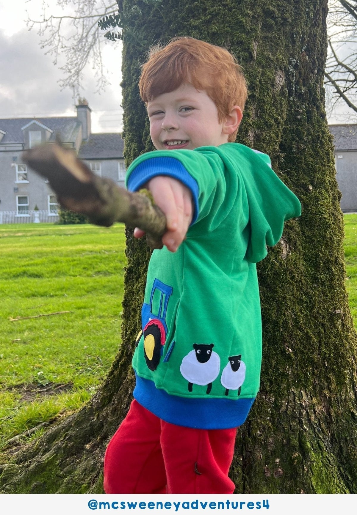 Organic Hillside Applique Hoodie - Toby Tiger