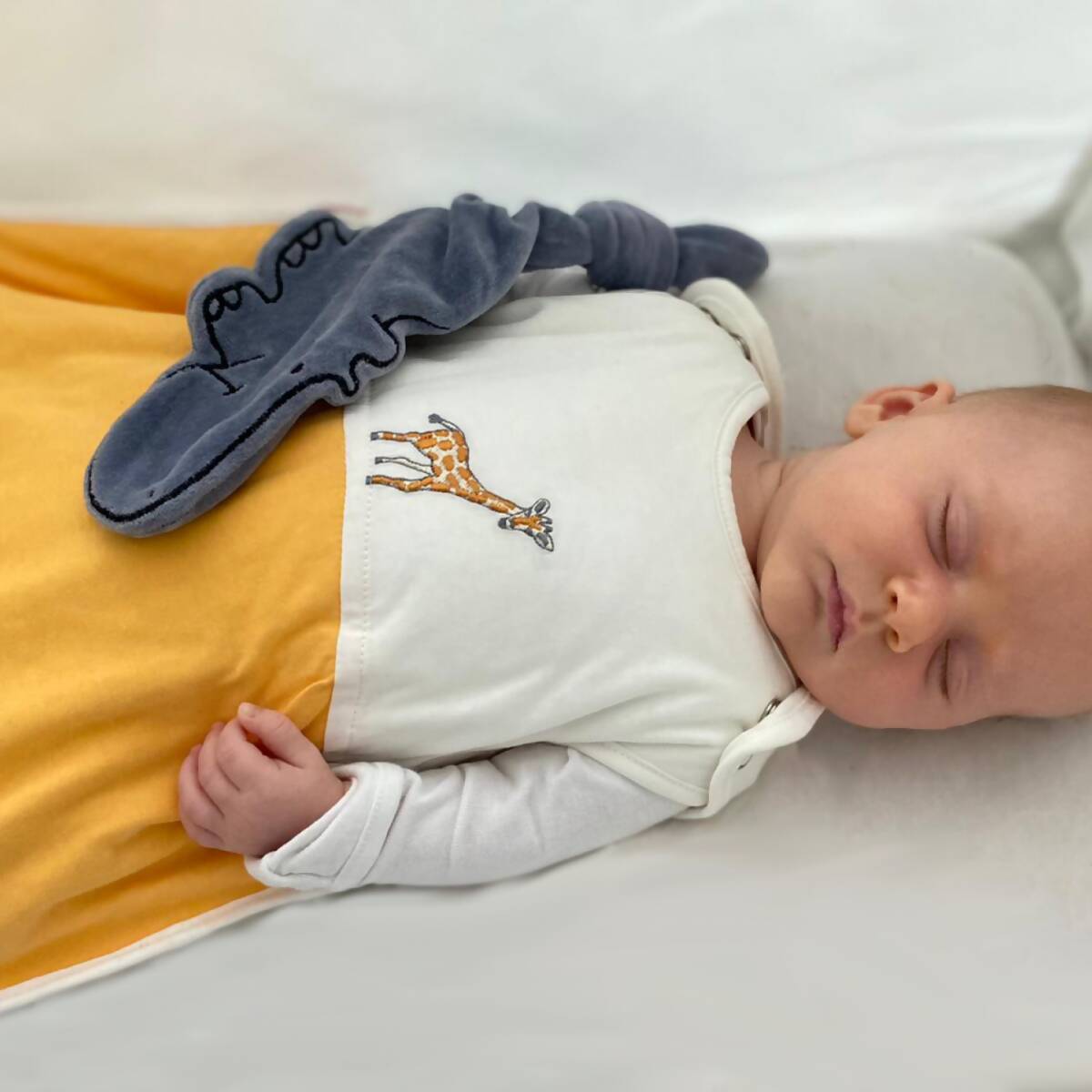 baby-sleeping-embroidered-bag-1200x1200 (1)