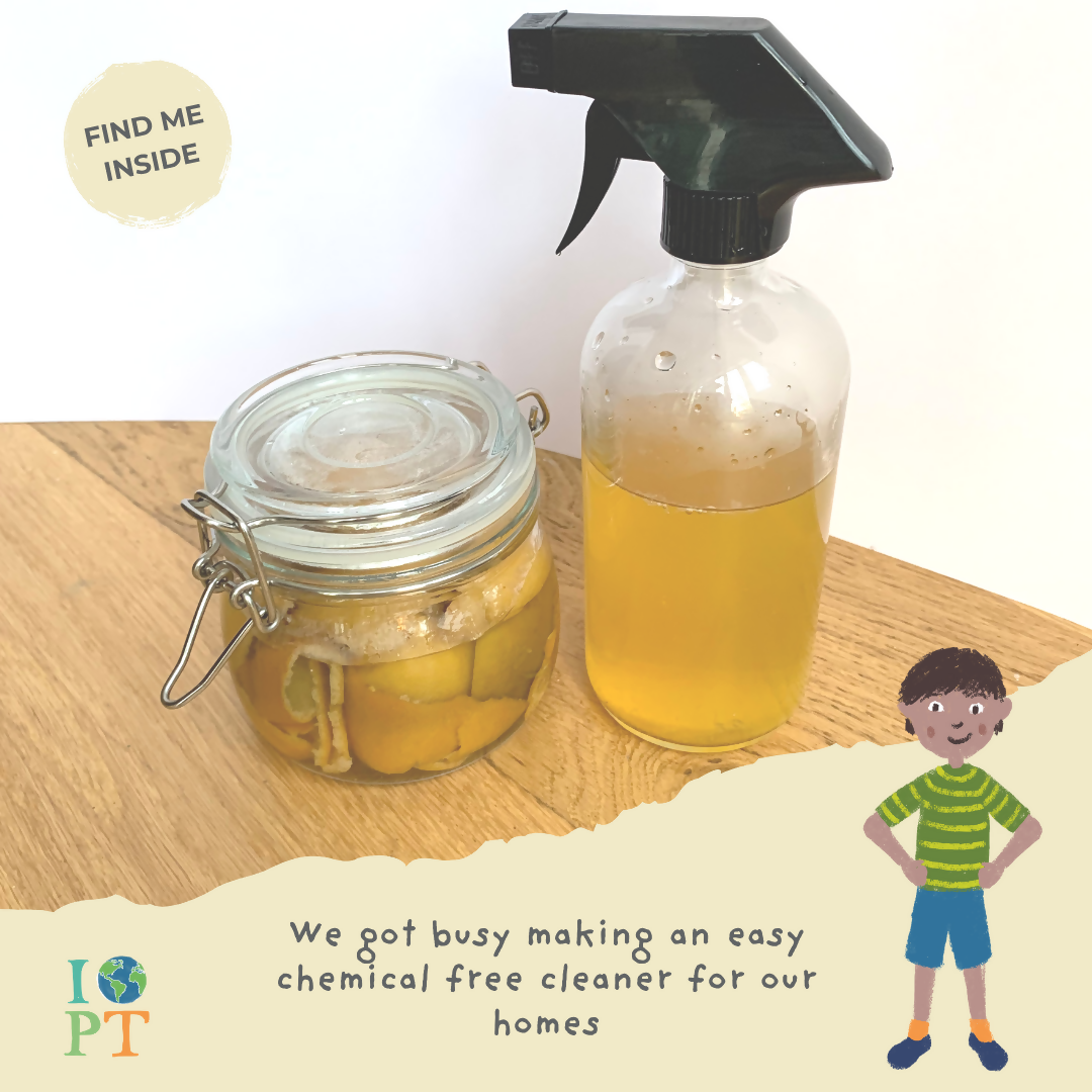 AWESOME AFRICAN ELEPHANTS - Children’s eco activity kit (Age 5+) | natural wooden toy for toddlers UK