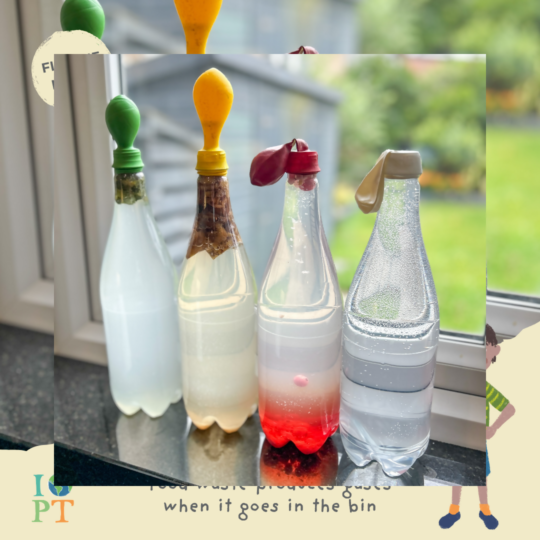 FOOD GLORIOUS FOOD - Children’s eco activity kit (Age 5+) — Montessori wooden toy UK | KIDDYKIND