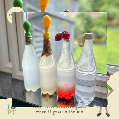 FOOD GLORIOUS FOOD - Children’s eco activity kit (Age 5+) — Montessori wooden toy UK | KIDDYKIND