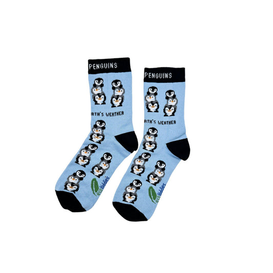 Eco Kiddies Friendly Penguins organic cotton kids socks - sustainable wildlife penguin print children's socks UK | Kiddykind