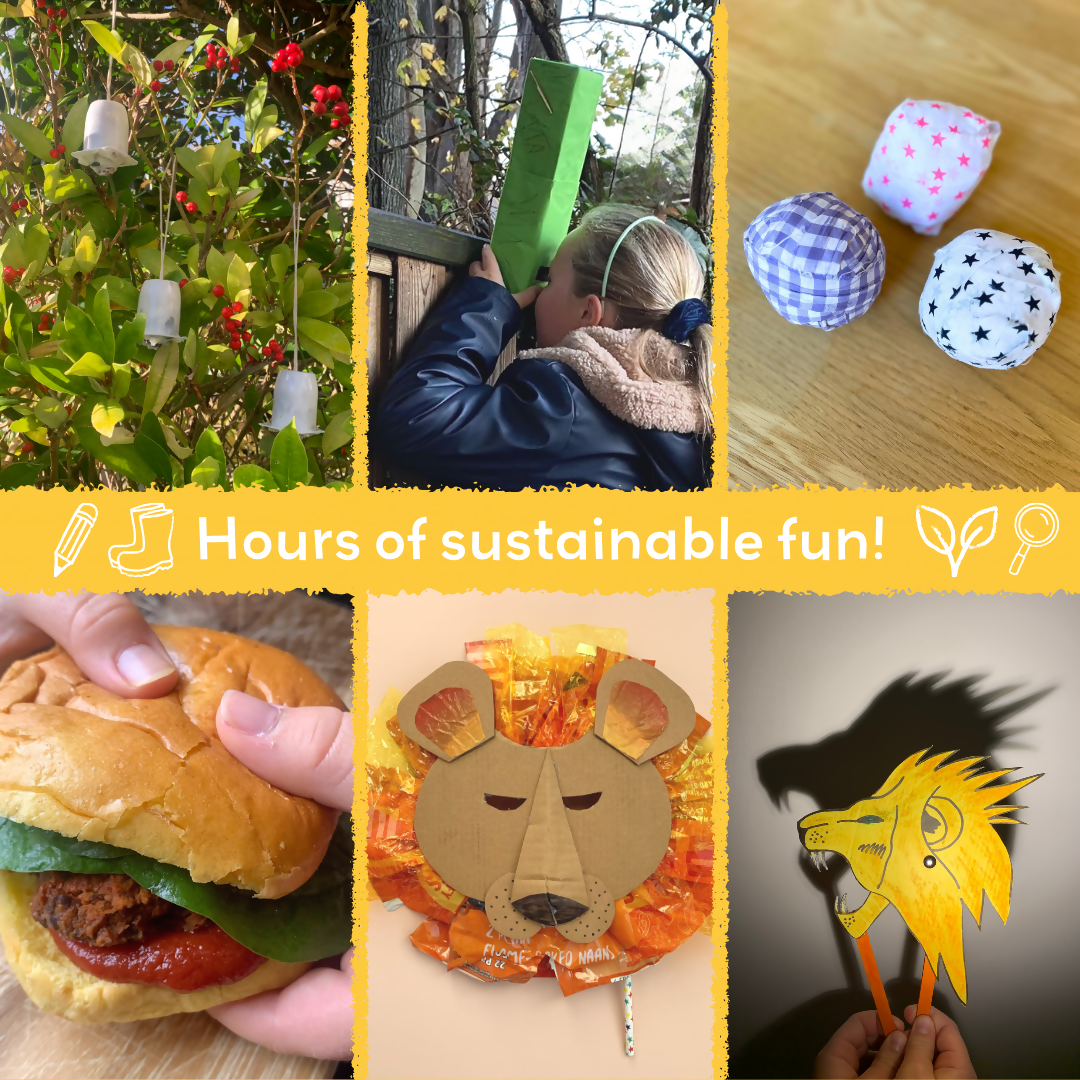 MAJESTIC LIONS - Children’s eco activity kit (Age 5+) | natural wooden toy for toddlers UK