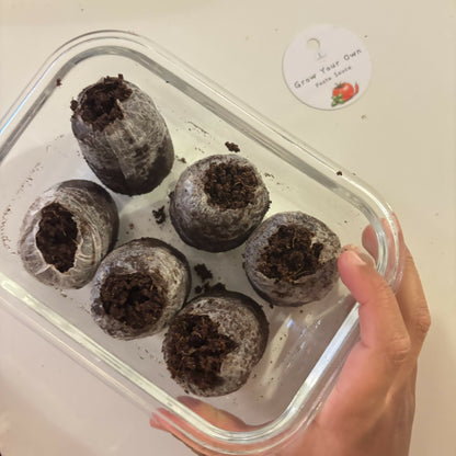 Grow Your Own Pasta Sauce