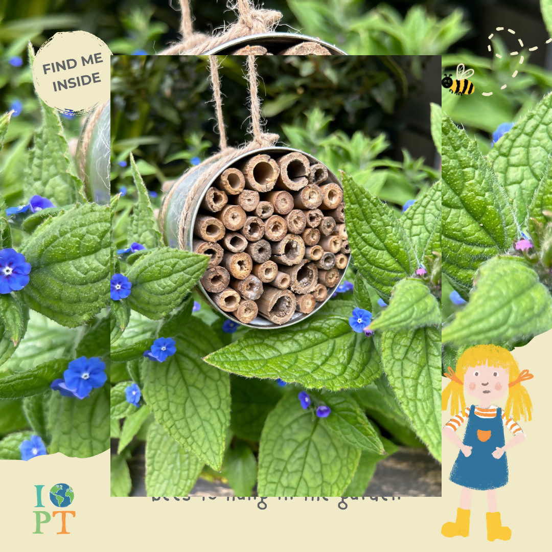 Sustainable Montessori toy: BUZZING BEES - Children’s eco activity kit (Age 5+) | KIDDYKIND