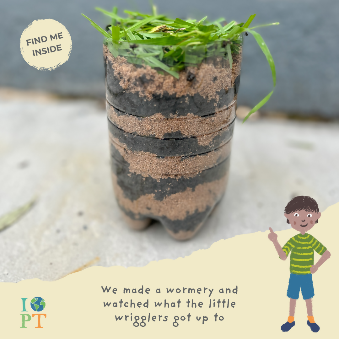 THE SECRET LIFE OF BIRDS - Children’s eco activity kit (Age 5+) | open-ended wooden toy for kids UK