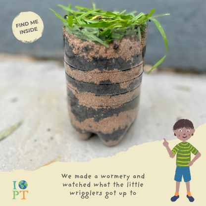 THE SECRET LIFE OF BIRDS - Children’s eco activity kit (Age 5+) | open-ended wooden toy for kids UK