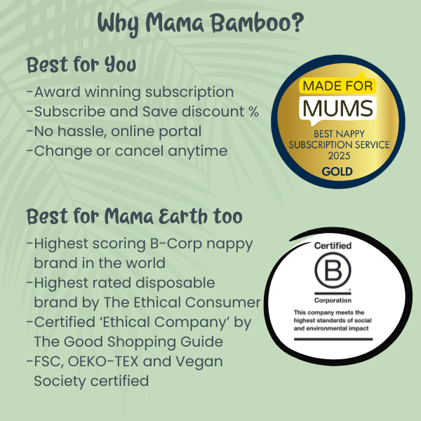 Bamboo Eco Travel Wipes