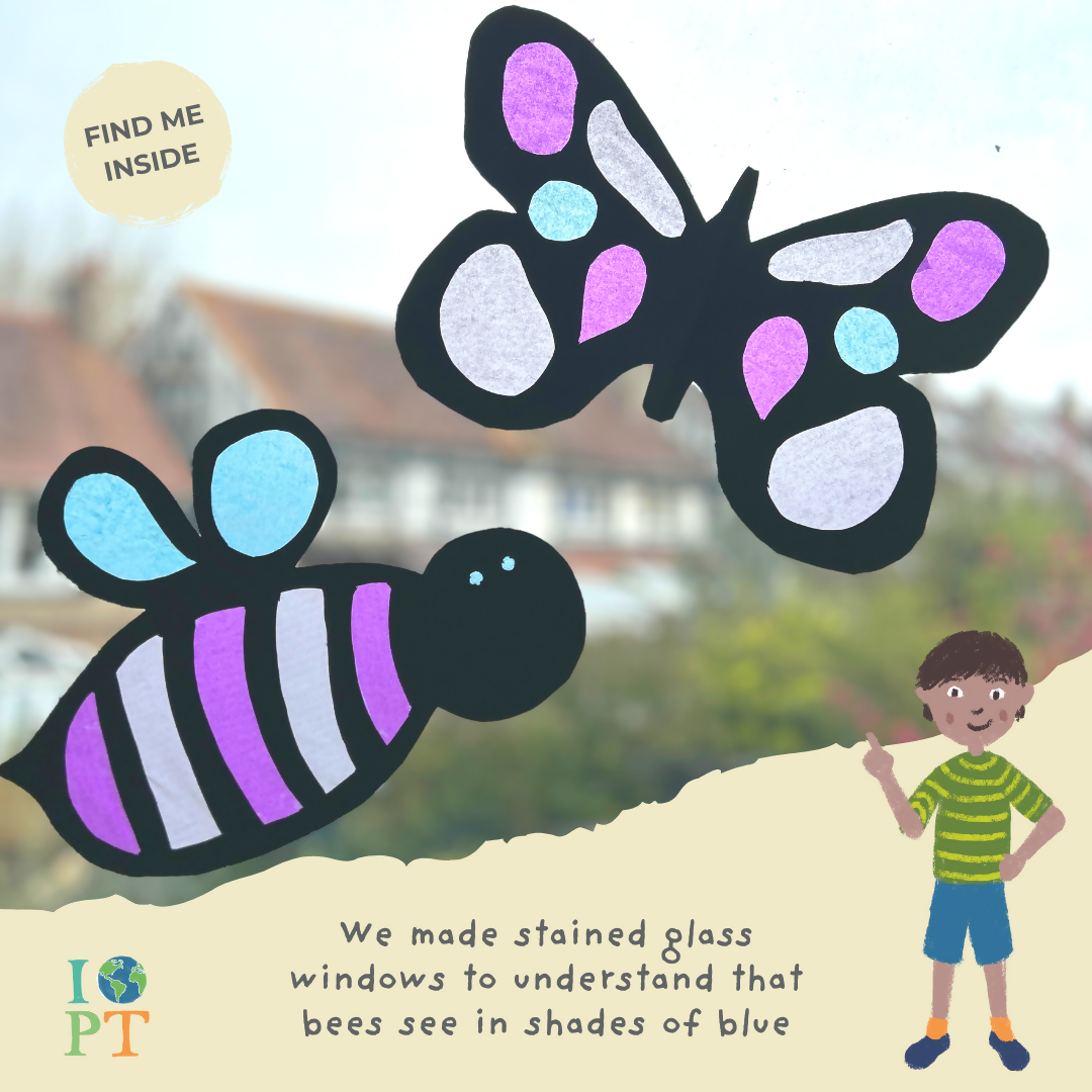 Sustainable Montessori toy: BUZZING BEES - Children’s eco activity kit (Age 5+) | KIDDYKIND