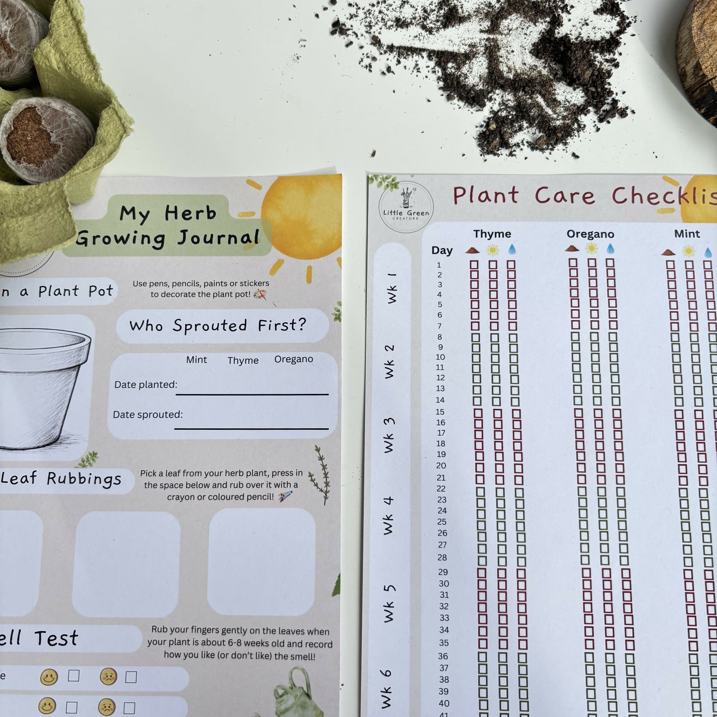 Start A Mini Herb Garden Kit