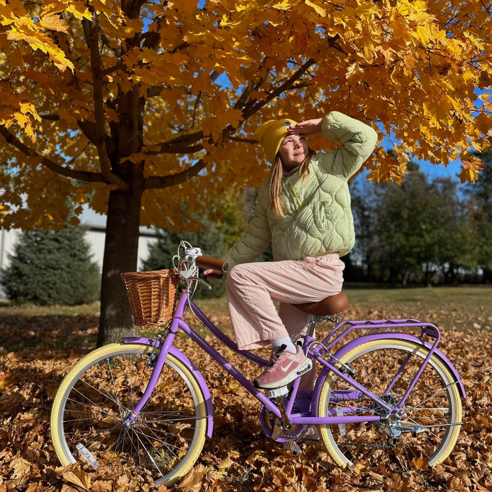 Glerc Missy 20 inch 6-speed beach cruiser kids bike with wicker basket and rear rack, view 22