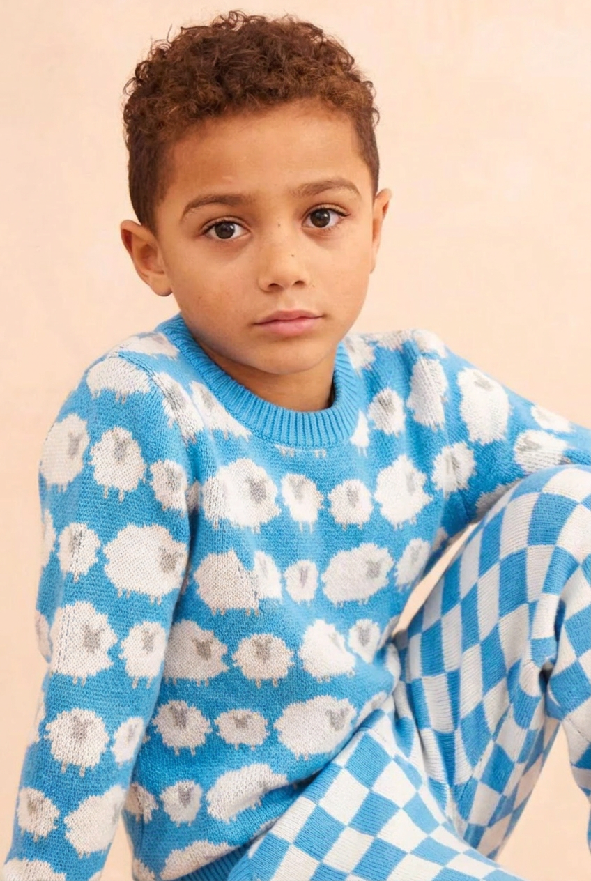 MIKA & MILO Flock of Sheep Jumper | Iceland Blue - - organic cotton cashmere