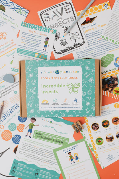 INCREDIBLE INSECTS - Children’s eco activity kit (Age 5+)