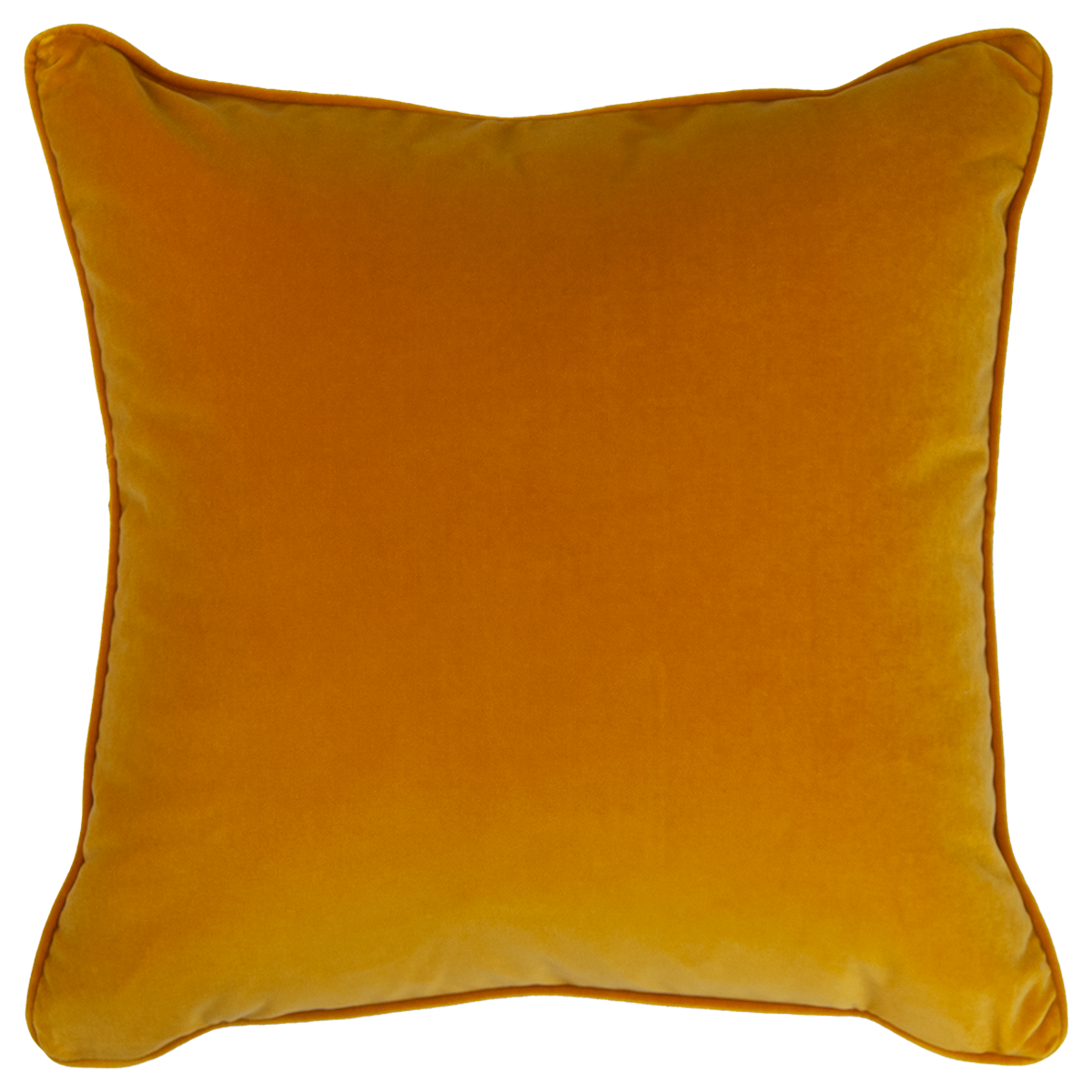 Velvet Mustard