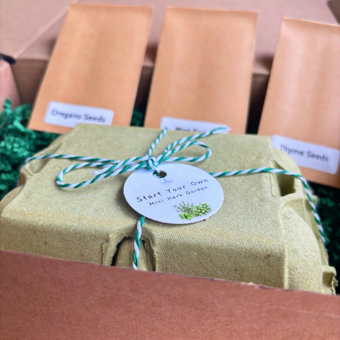 Start A Mini Herb Garden Kit