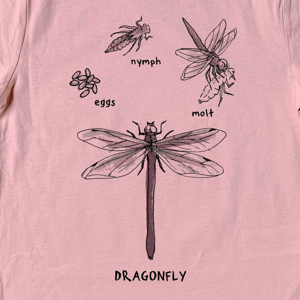 DragonflyColdCU