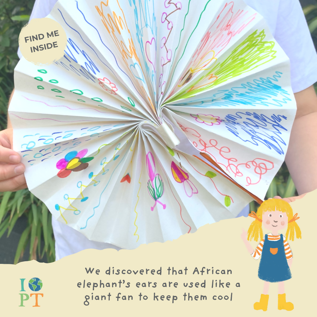 AWESOME AFRICAN ELEPHANTS - Children’s eco activity kit (Age 5+) | natural wooden toy for toddlers UK