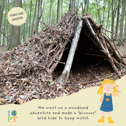 THE SECRET LIFE OF BIRDS - Children’s eco activity kit (Age 5+) | open-ended wooden toy for kids UK