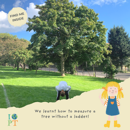 TREMENDOUS TREES - Children’s eco activity kit (Age 5+) — Montessori wooden toy UK | KIDDYKIND