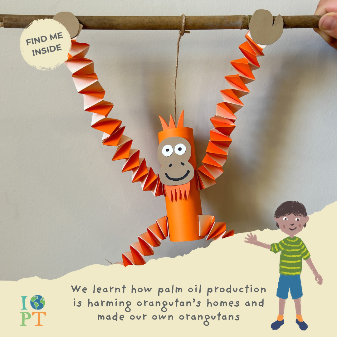 FOOD GLORIOUS FOOD - Children’s eco activity kit (Age 5+) — Montessori wooden toy UK | KIDDYKIND