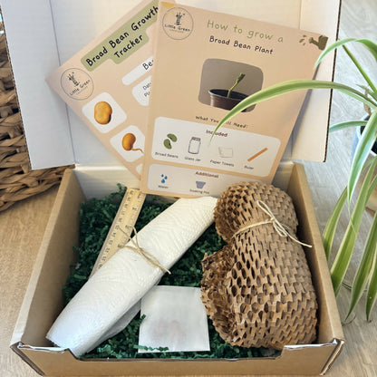 Grow Your Own Broad Bean Kit