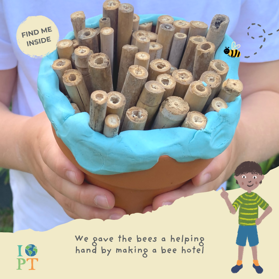 OUR WORLD IS CHANGING - Children’s eco activity kit (Age 5+) — Montessori wooden toy UK | KIDDYKIND