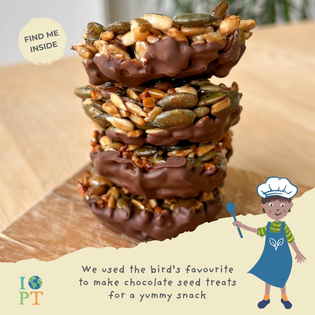 THE SECRET LIFE OF BIRDS - Children’s eco activity kit (Age 5+) | open-ended wooden toy for kids UK