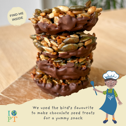 THE SECRET LIFE OF BIRDS - Children’s eco activity kit (Age 5+) | open-ended wooden toy for kids UK