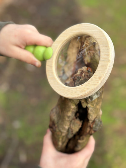 Forest Trail Kit