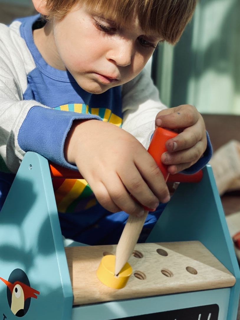 Sustainable Montessori toy: Tap Tap Tool Box | KIDDYKIND