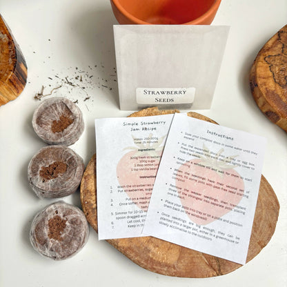 Mini Grow Your Own Strawberries Kit