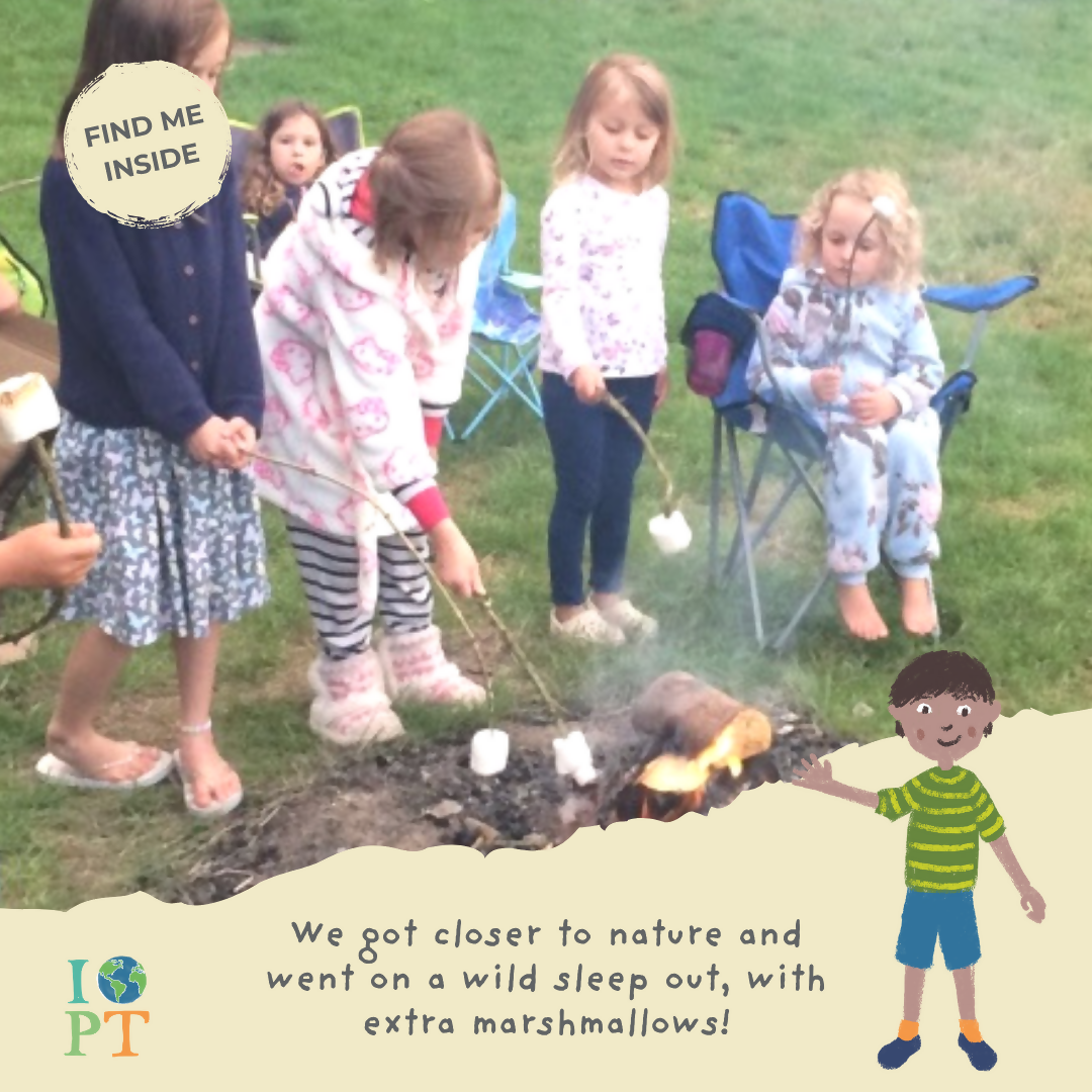 TERRIFIC TIGERS - Children’s eco activity kit (Age 5+) | open-ended wooden toy for kids UK