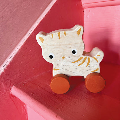 Kitten On Wheels