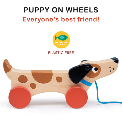 Puppy On Wheels