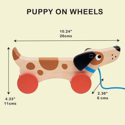 Puppy On Wheels