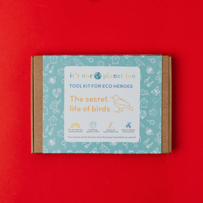 THE SECRET LIFE OF BIRDS - Children’s eco activity kit (Age 5+) | open-ended wooden toy for kids UK