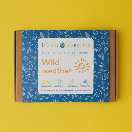 WILD WEATHER - Children’s eco activity kit (Age 5+) — Montessori wooden toy UK | KIDDYKIND