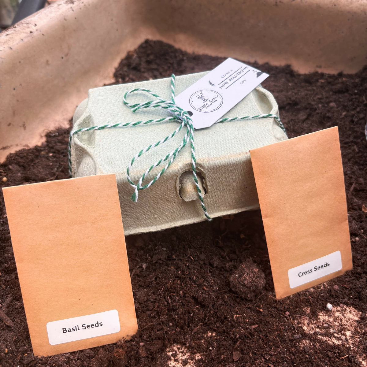 Start a Mini Allotment Kit by Little Green Creators | Kiddykind