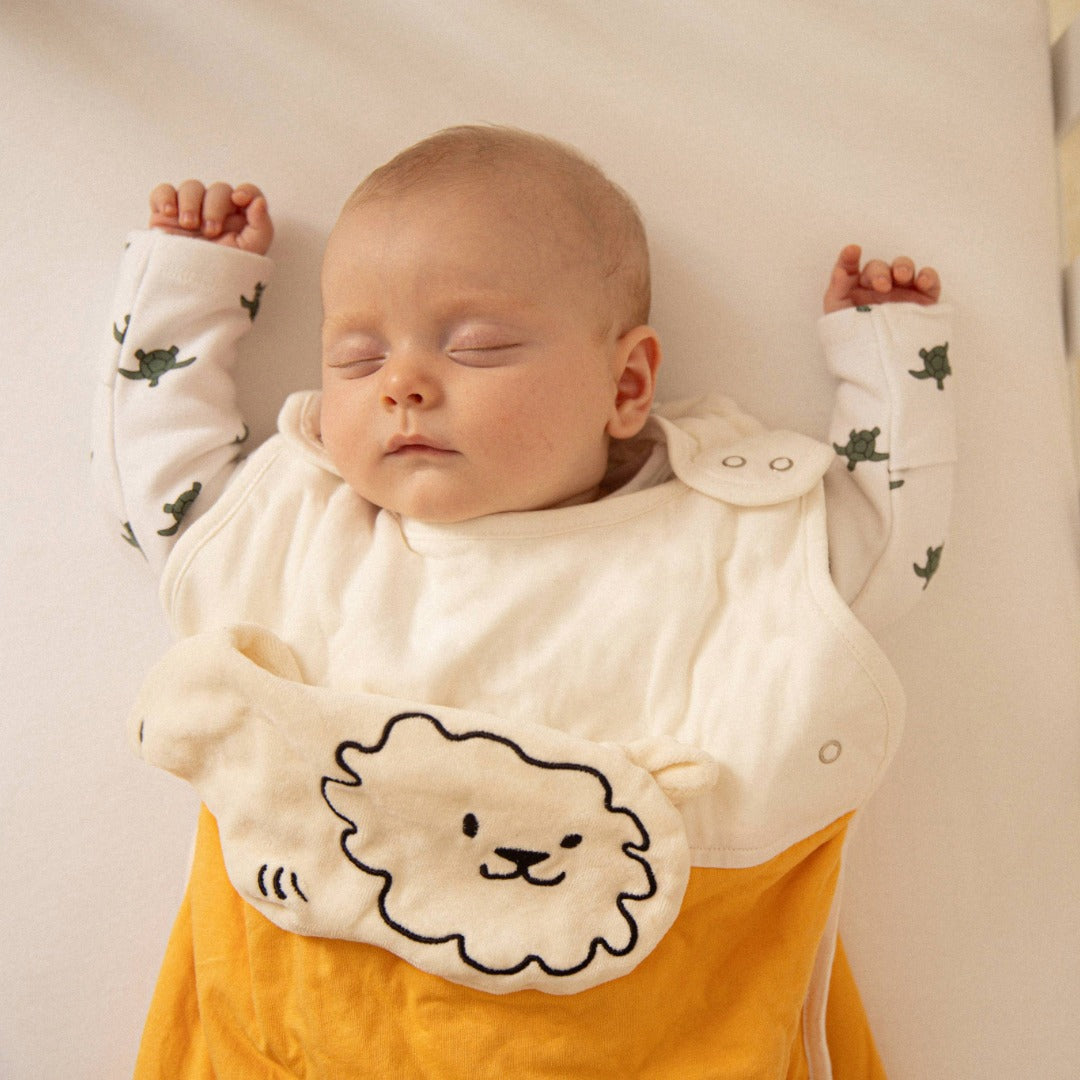 Product Image-3