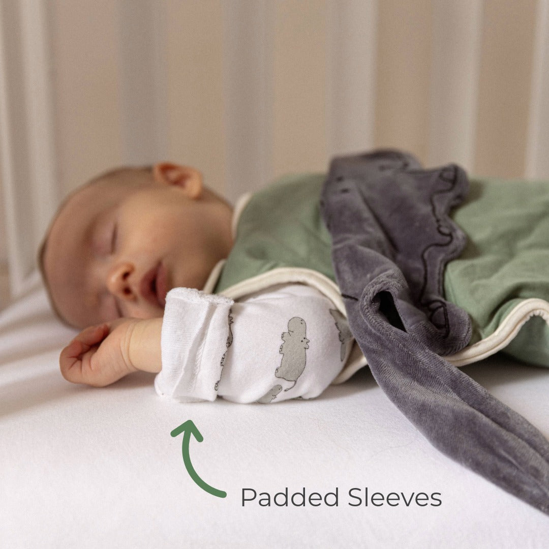 Product Image-2
