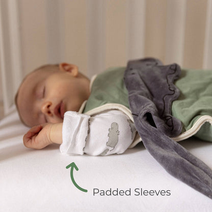 Product Image-2