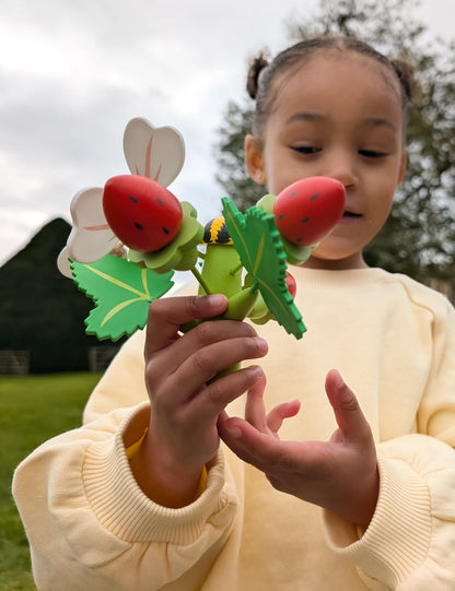 Strawberry Flower Pot