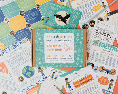 THE SECRET LIFE OF BIRDS - Children’s eco activity kit (Age 5+) | open-ended wooden toy for kids UK