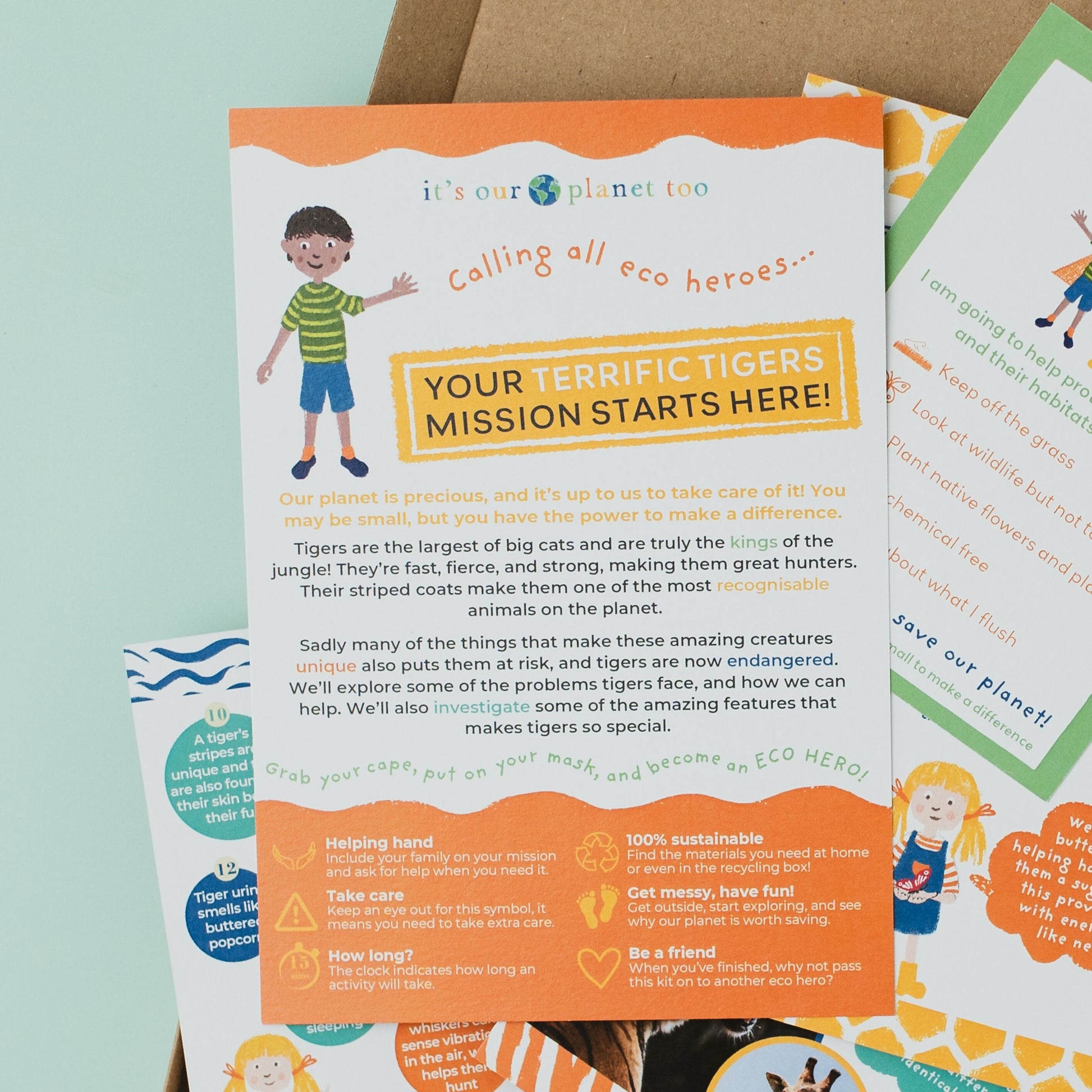 TERRIFIC TIGERS - Children’s eco activity kit (Age 5+) | open-ended wooden toy for kids UK
