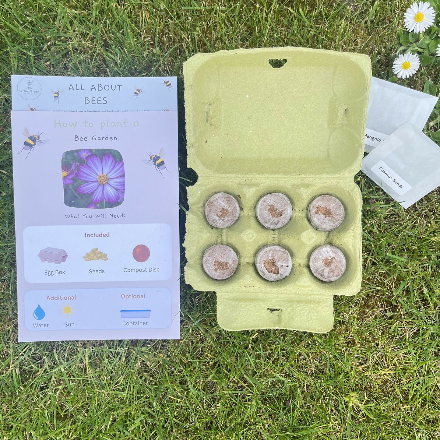 Plant A Bee Garden Kit