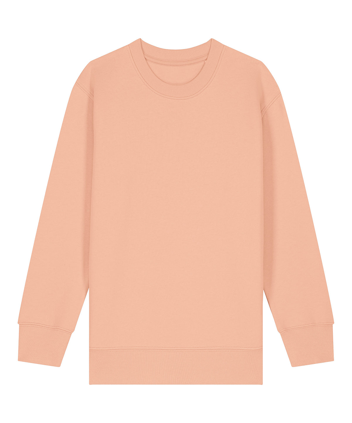 Earth Wardrobe kids organic cotton crew sweatshirt, view 6