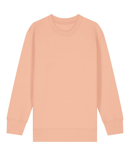 Earth Wardrobe kids organic cotton crew sweatshirt, view 6