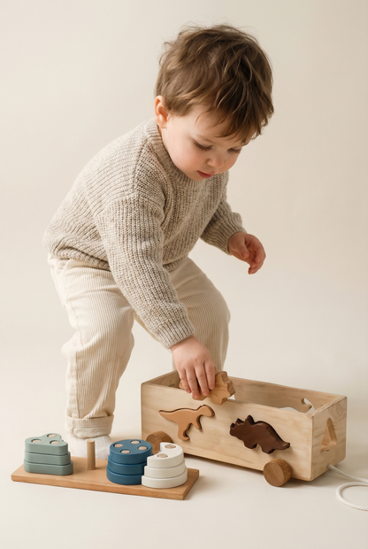 Wooden dinosaur shape sorting box pull-along toy